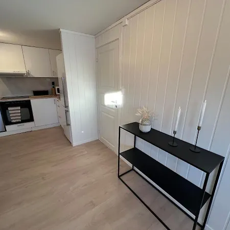 Nyoppusset Kjellerleilighet