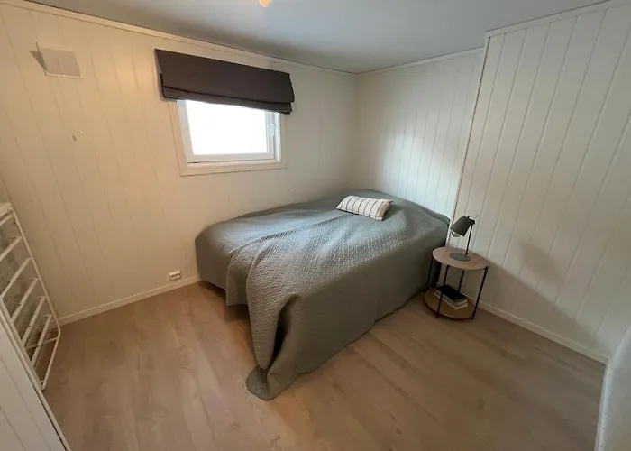 Nyoppusset Kjellerleilighet *
