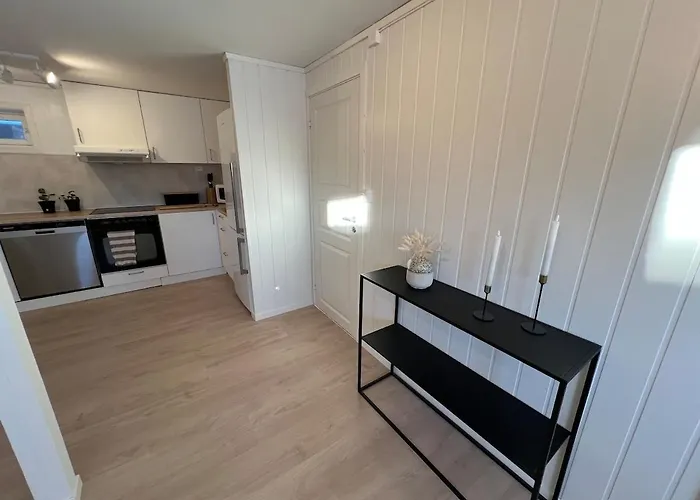 Nyoppusset Kjellerleilighet